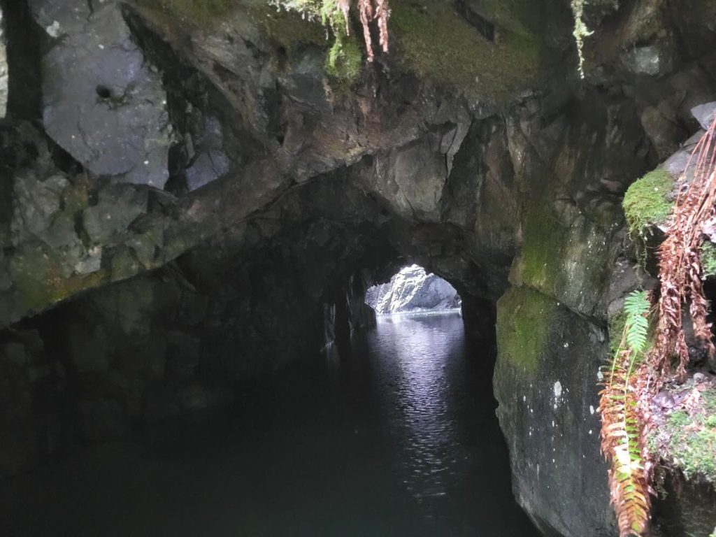 quadravistafarmstay mining minerals tunel tour